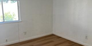 417 Powell Drive Gallery 10