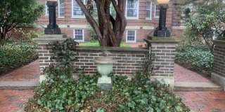 41 Linnaean Street Gallery 1