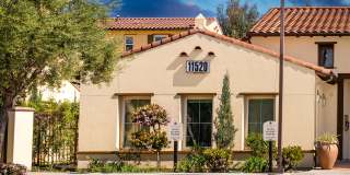 Paseos At Magnolia Luxury Apartment Homes Gallery 2