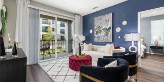 Everly on 401 Everly on 401 Gallery 1