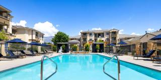 Olympus Alameda Gallery 34