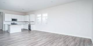 Stunning 4 Bedroom/3 Bath Single Level Home In Estrella Mountain Ranch Community! Newly Built Home! Gallery 8