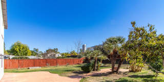 Spacious 6 Bedroom Home With Huge Backyard! Gallery 28
