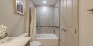 The Hamilton Gallery 11