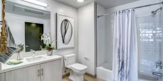 The Apartment Collection at Bay Meadows Gallery 51