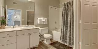 The Saulet Gallery 15