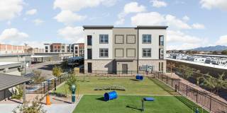 The Maddox Gallery 9