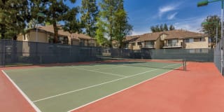 Terra Vista Apartments Gallery 7