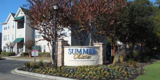 Summer Chase Gallery 2