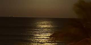 1815 N Surf Road Gallery 34