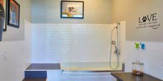 The Tannery Gallery 40