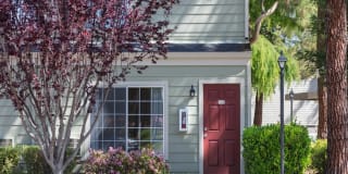 Central Park At Whisman Station Gallery 1