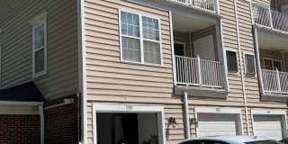 1001 TREELAND Way Gallery 19