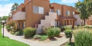 Park Sierra Gallery 88