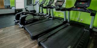 Parkstead Black River Gallery 19