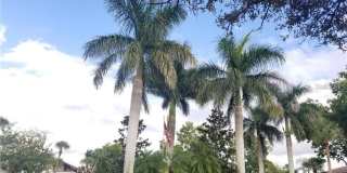 5279 WILLOW LINKS Gallery 8