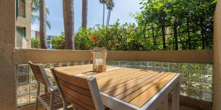Summer Availability -Steps from La Jolla Shores Beach, Fully Furnished! Gallery 5