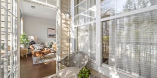 Sofi Lyndhurst Gallery 11