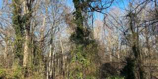 3 bedroom house in Fulton Hill! Laundry, Central HVAC All electric, big fenced yard, hardwoods Gallery 12