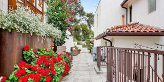 75 Marbella Gallery 32