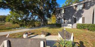 Furnished 2-Bedroom, 2-Bathroom Condo in Tampa Gallery 20