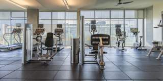 The Morris Gallery 41