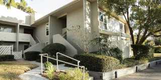 610 Windrush Bay Dr Gallery 1