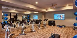 Camden Carolinian Gallery 26