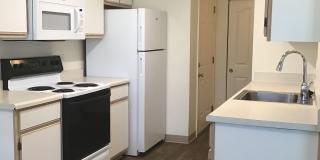 Swale Creek Gallery 1