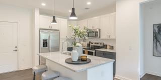 Gladwen Wendell Falls Gallery 38