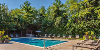 Timber Hollow Apartments Gallery 1