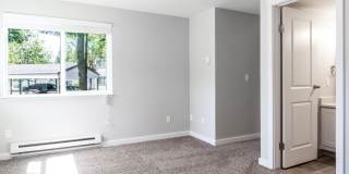Novela Gallery 21