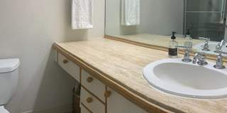 1122 Colorado Street Gallery 10