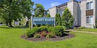Halsey Flats Gallery 1