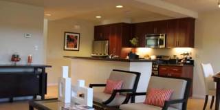 Towpath Village Gallery 18