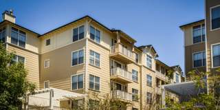 Marlin Cove Apartments Gallery 27