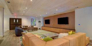 Agave Gallery 77