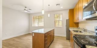 Mountain Trail Gallery 36