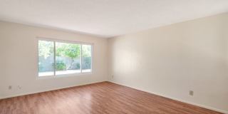 Meticulously Maintained 4 bed Scottsdale Home Gallery 6