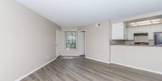 Oak Tree Court Gallery 38