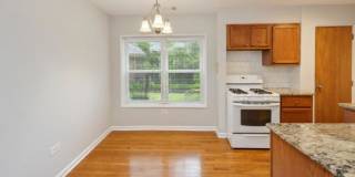 6535 N Mozart Gallery 2