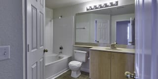 Avana Eastlake Gallery 50