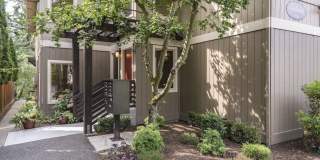 Cambridge Gallery 13