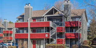 ReNEW Foothills Gallery 39