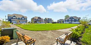 Liberty Reserve Gallery 31