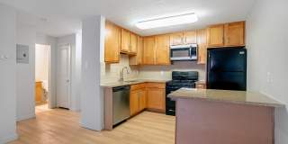 1520 S Albion Gallery 1