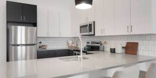 The Parallel The Parallel Gallery 5