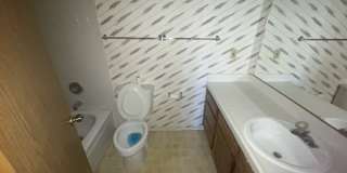 4181 Gannet Circle #241 4181 Gannet Circle #241 Gallery 18