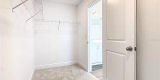 11165 GREEN CITRON Alley Gallery 28