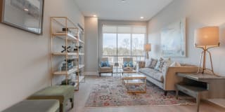 Towerview Ballantyne Gallery 15